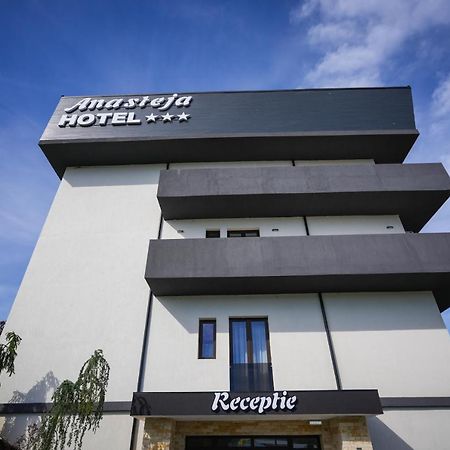 Hotel Anasteja ホレズ エクステリア 写真